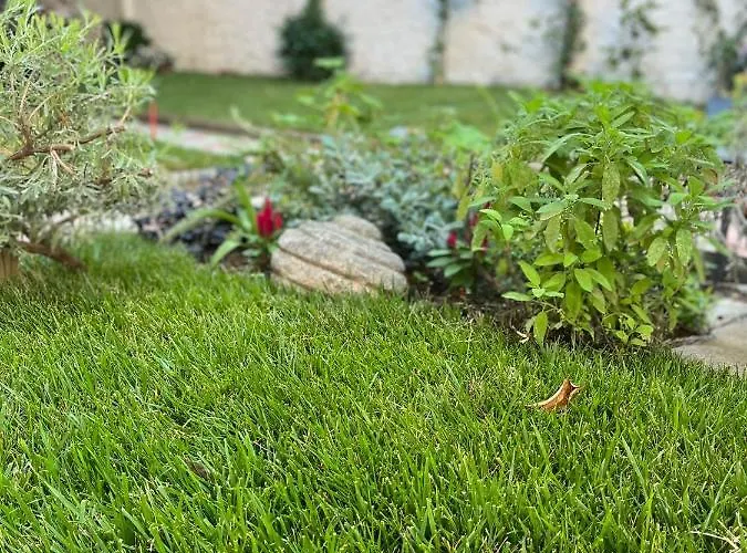 Florent's Superb Studio, Free Parking & Garden!! *